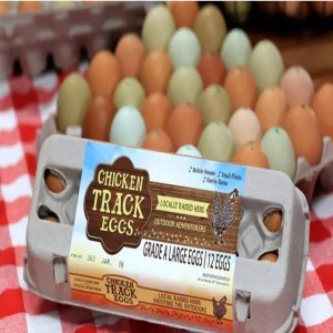 Dozen Free Range